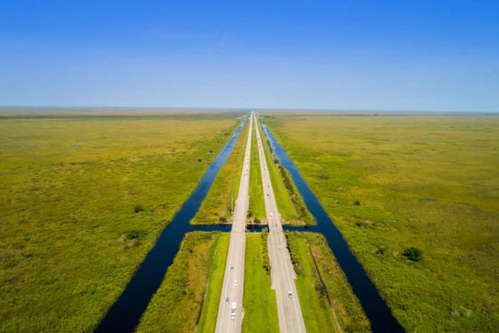 Alligator Alley. A Road Trip Across The Everglades