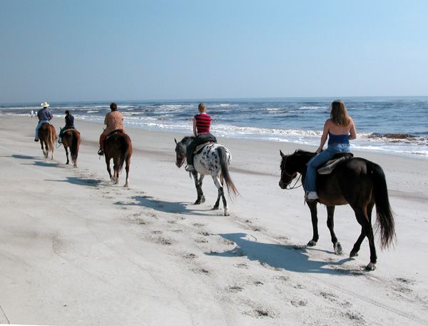 Amelia Island Horseback Riding on the Beach