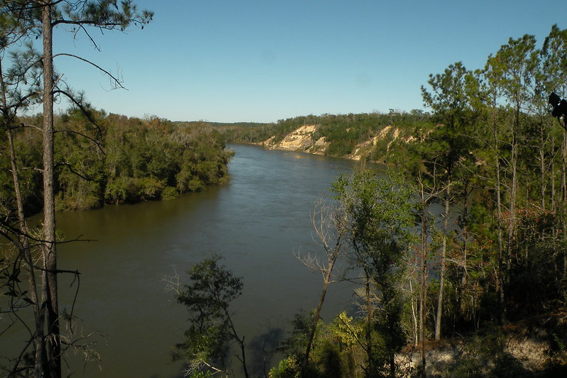 11 Florida Rivers That Shaped The State's History