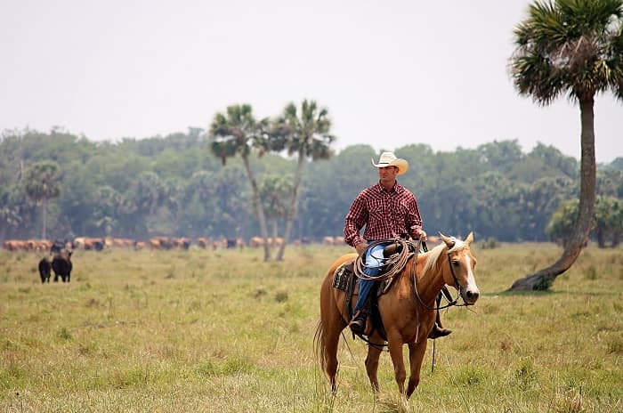 Deseret Ranches: 300,000 Acres of Old Florida (2023)