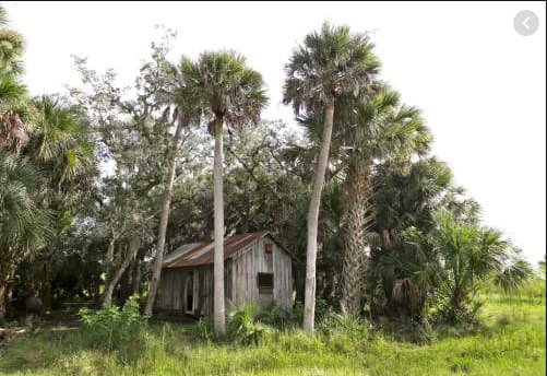 Deseret Ranches: 300,000 Acres of Old Florida (2023)