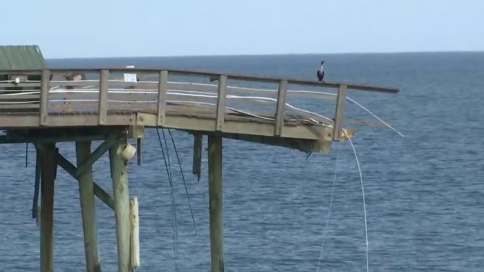 A Historic Watery Attraction: the Flagler Beach Fishing Pier