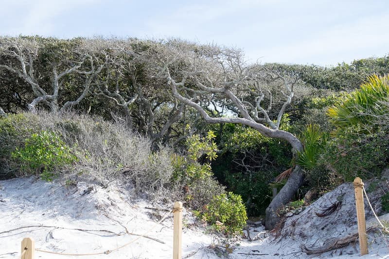 Grayton Beach: Gulf Front Village on Scenic Highway 30A