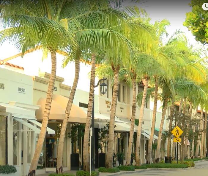 Shopping Areas in The Palm Beaches