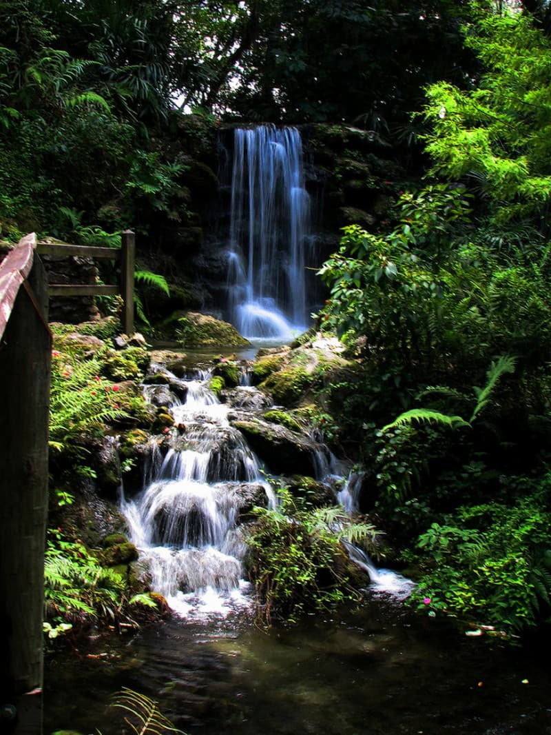 rainbow-springs-beautiful-and-preserved-as-a-state-park