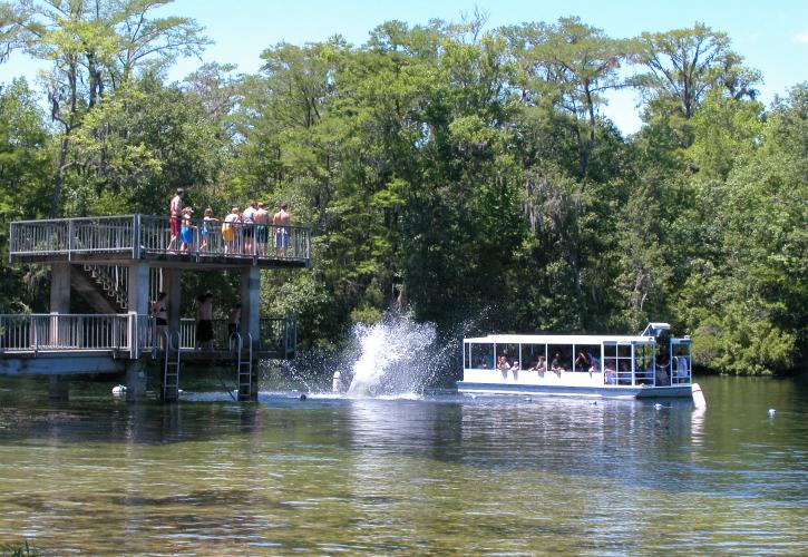 Florida State Parks: Preserving Natural Florida