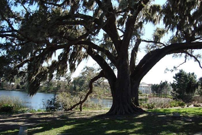 Along the West Orange Trail