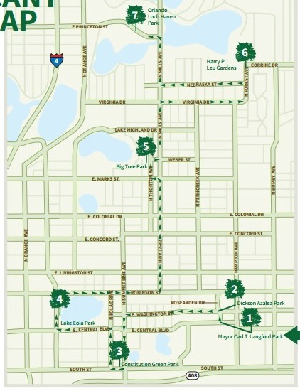 Orlando Tree Tour Features Some Significant Florida Trees